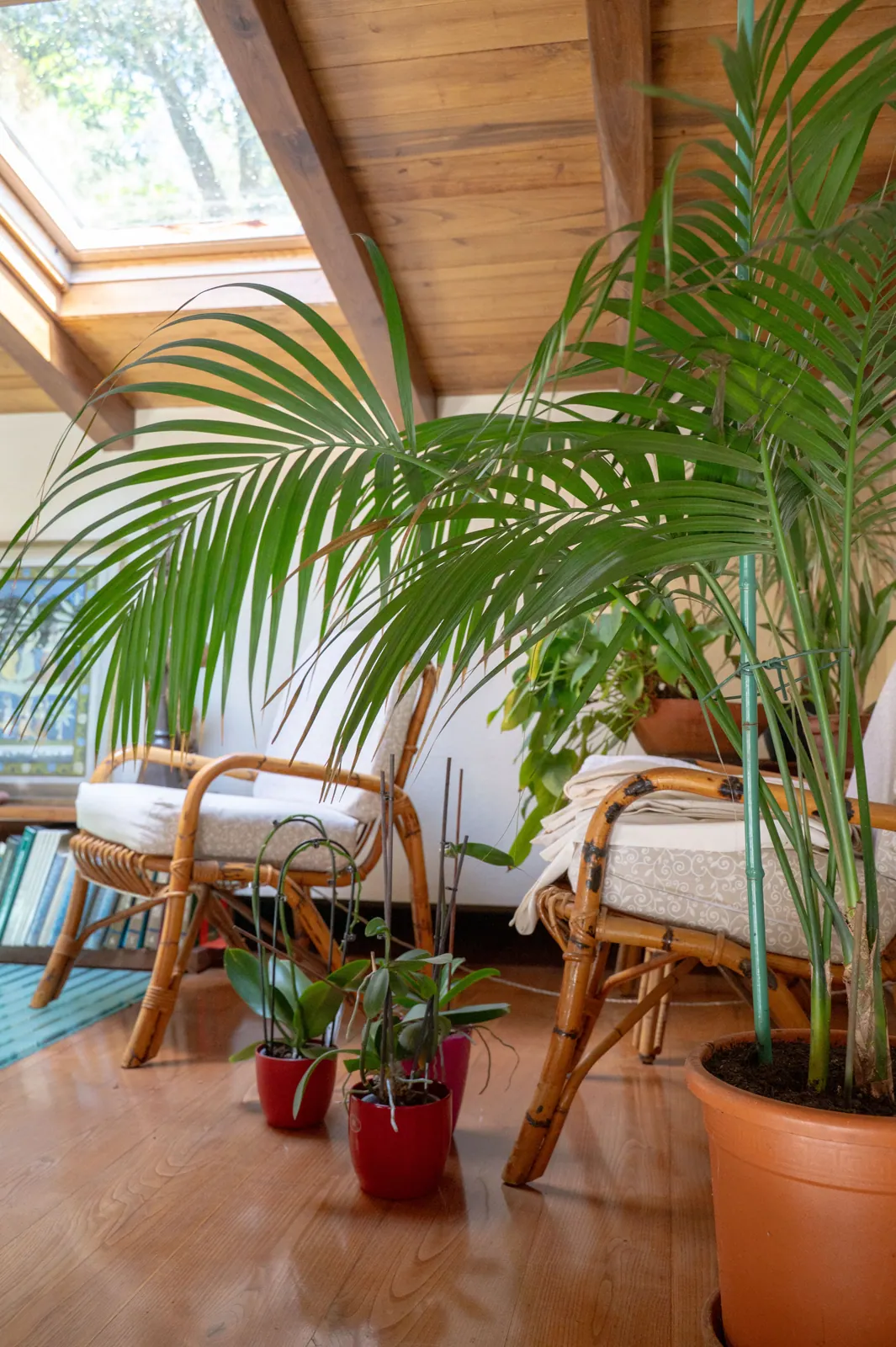 Casa-golfo-paradiso