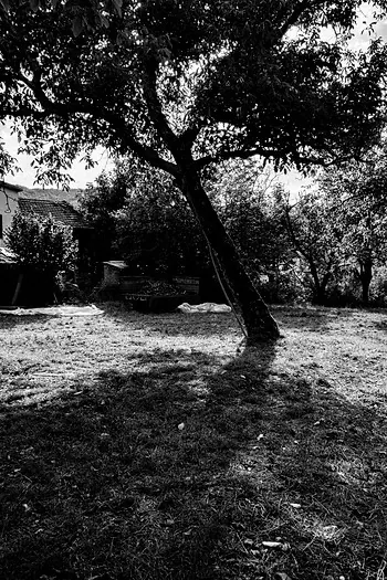 La casa dei genitori