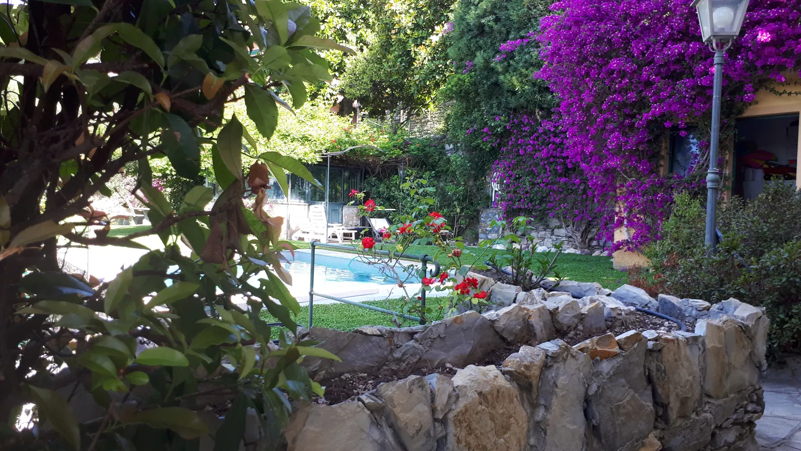Giardino Con Piscina